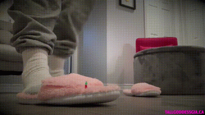 Giant Gia And Her Tiny Slipper Boy