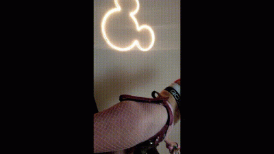 Dysnie Princess, Caged BBC Pup