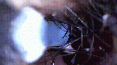 Nose And Ear Closeups