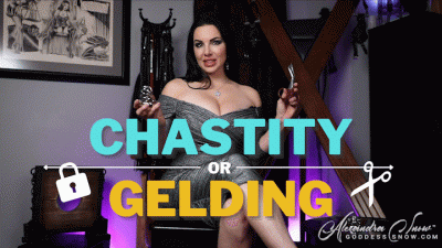 Chastity Or Gelding