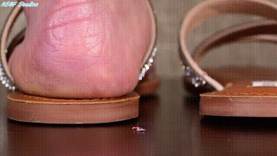 Ms Chen The Unaware Step-Mom Squeezes The Boys! "Oh God! Your Step-Mom Thinks Where Gnats!!!" Pt 2!