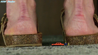 Ms Chen Confuses Builders For Bugs!