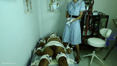 Sample Ingestion In Segufix