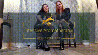 Intensive Therapie