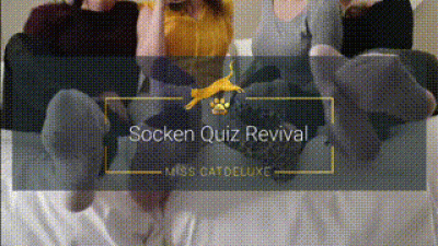 Socken Quiz Revival