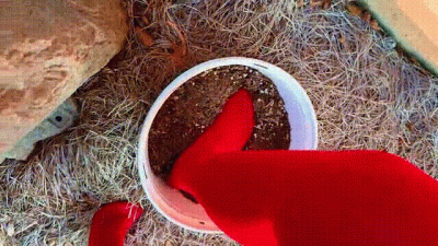 Dirty Pantyhose Footprints ASMR