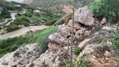 Reell Sightseeing A La Reell Malta Dingli Cliffs