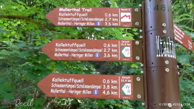 Reell Sightseeing A La Reell The Mullerthal Trail Compilation