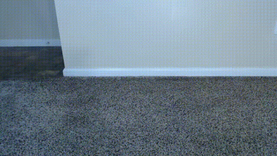 Goddess Fever: Gladiator Sandal Worship