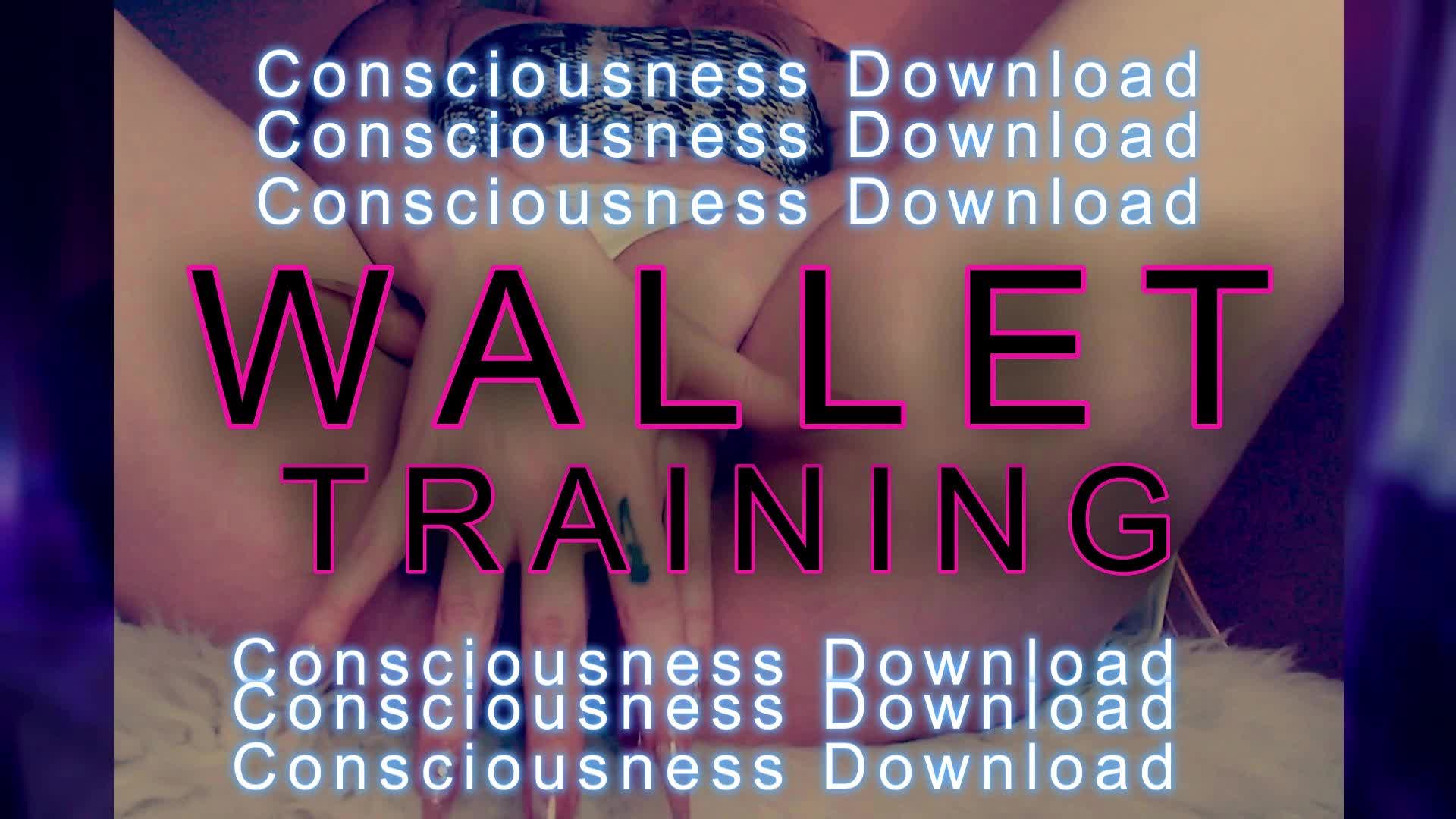 Wallet Training- Consciousness Download
