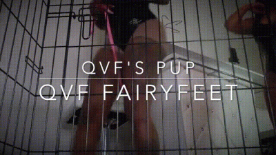 New Pup Feat Fairy Feet