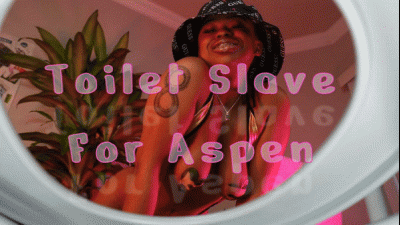 Toilet Slave For Aspen
