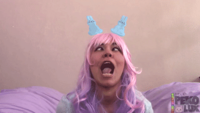 Funny Bunny Silly Faces With Pretty Peko Lux