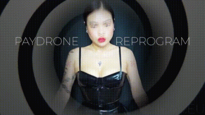 Paydrone Reprogram