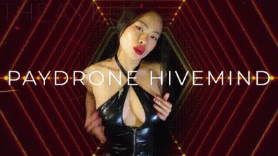 Paydrone Hivemind