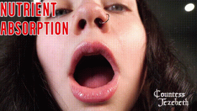 Nutrient Absorption (Vore)