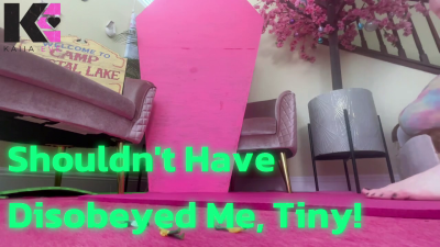 Shouldn't Have Disobeyed Me, Tiny!