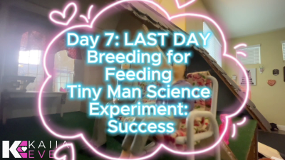 Day 7: Last Day Of Breeding For Feeding Tiny Man Science Experiment: Success