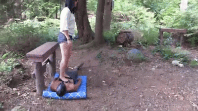 Trampling In The Forest