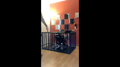 Sissy On The Cage Train Sucking Strap On And Wanna Worship Me