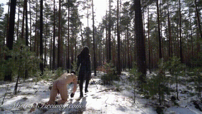 Disciplined In The Cold Winter Forest