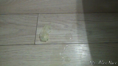 Lick Dirt And My Sperm From The Floor After My Sex With Your Girlfriend