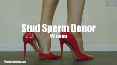 One Nurse-Two Procedures Stud Sperm Donor