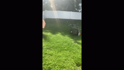 Naked Yardwork Makes You Drool
