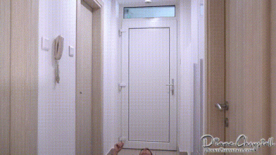 Cat Burglar Boobytrap Cakesitting 2