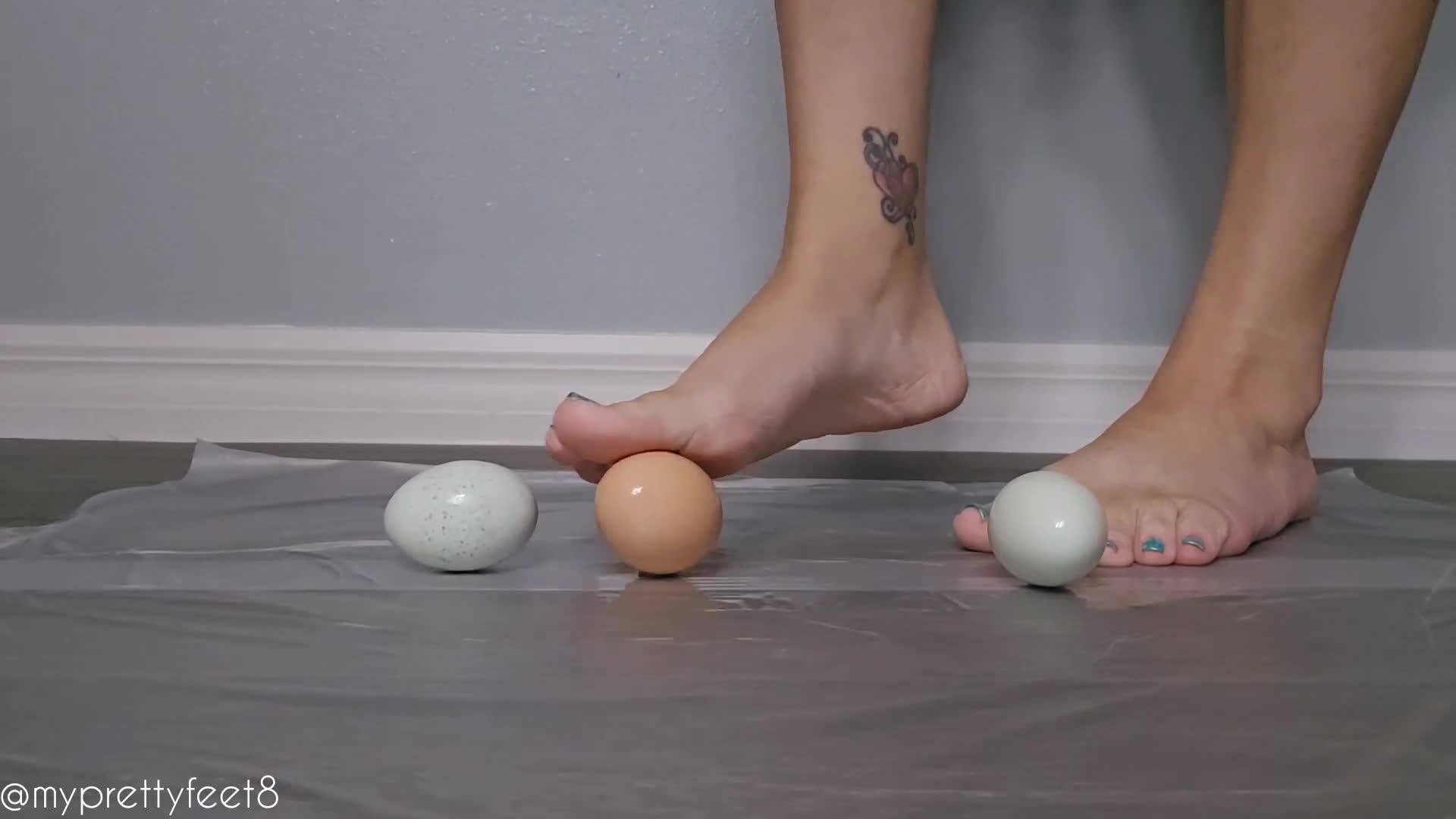 Egg Compression