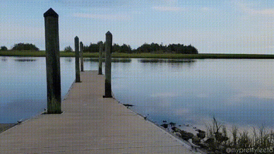 Fishing For Feet