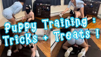 Pet Training Tricks & Treats! Submissive Male Pet Play