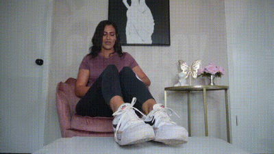 Good Boy Scent Training