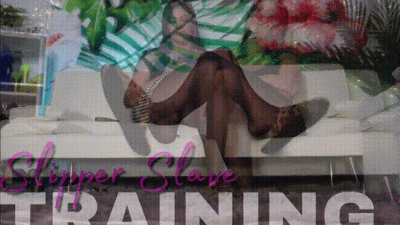 Slipper Slave Training 2