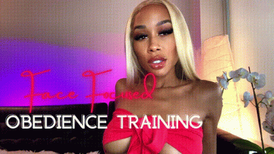 Face Focused Obedience Training