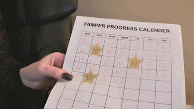 Training Progress Calendar With Punishments And Rewards Custom Request Full HD Mp4