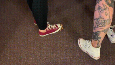 Shrinking Roommate 2