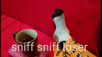 Sniff My Dirty Socks And Tea