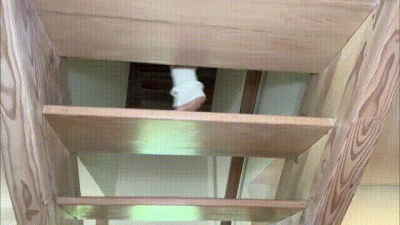 Your Roommate Seduces You