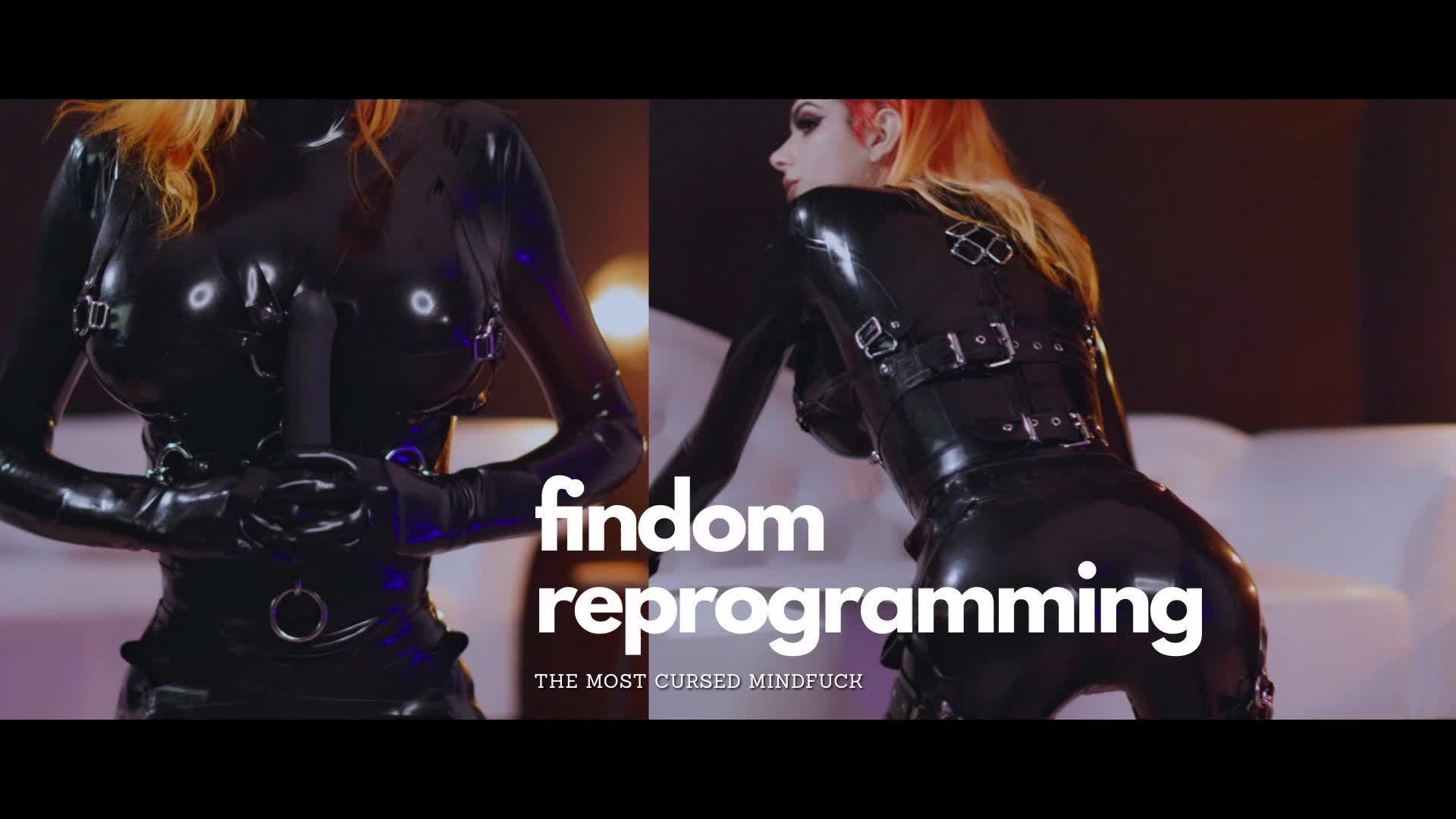 Findom Reprogramming