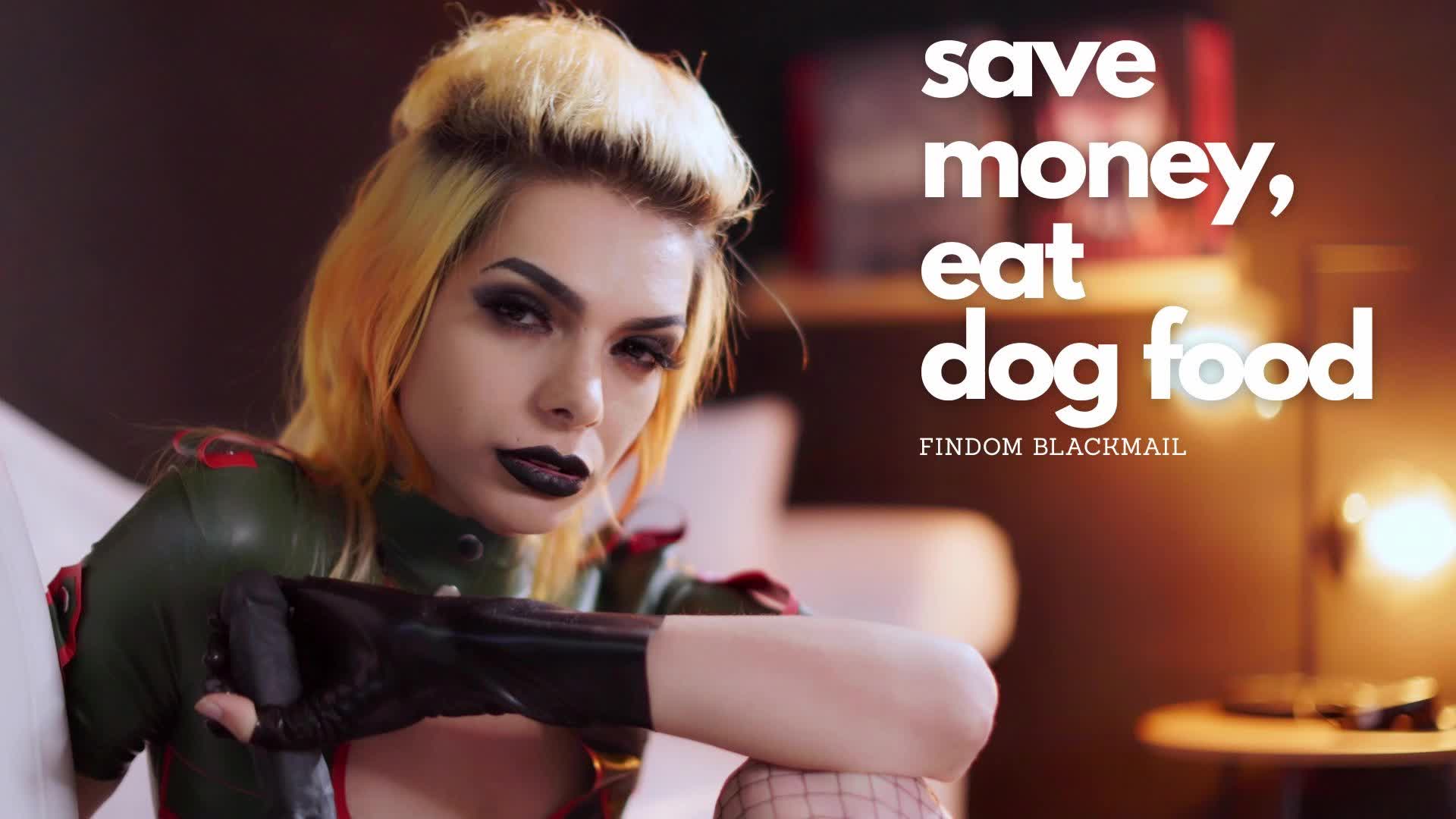Save Money, Eat Dog-Food Findom Blackmail