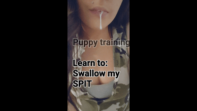 Puppy Training: Learn To Swallow My Spit