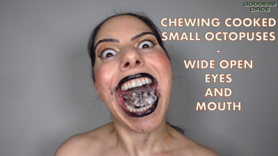 Chewing Cooked Small Octopuses- Wide Open Eyes And Mouth (Video Request)