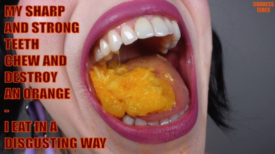 My Sharp And Strong Teeth Chew And Destroy An Orange- I Eat In A Disgusting Way