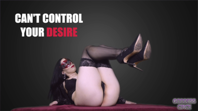 The Stockings Worshipper