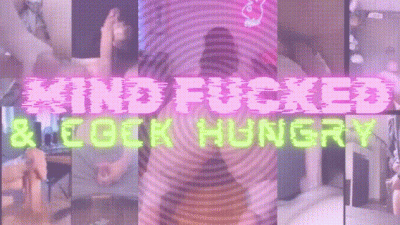 Mindfucking My Cock Hungry Sluts