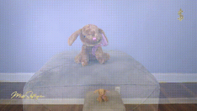 Breaking Wind On Bunny Custom Video