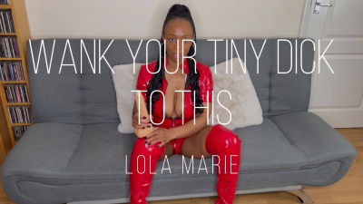 Wank Your Tiny Dick To This