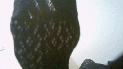 You Should Be Under My Feet Enjoying This View