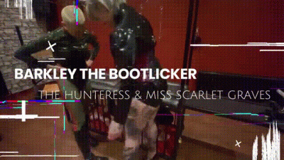 Barkley Boot Licker